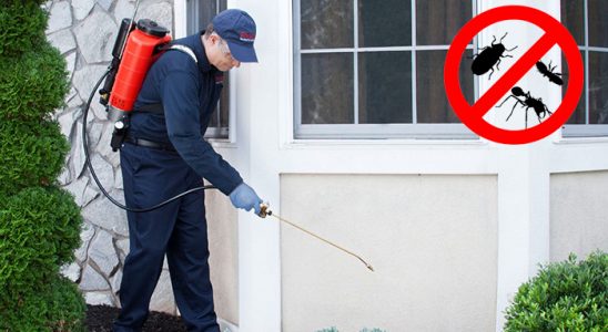 Ceylanpınar Dezenfeksiyon böcek ilaçlama ve haşere kontrolü — ilaclama-tr.com